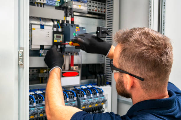 Best Electric Panel Repair  in Genoa City, WI