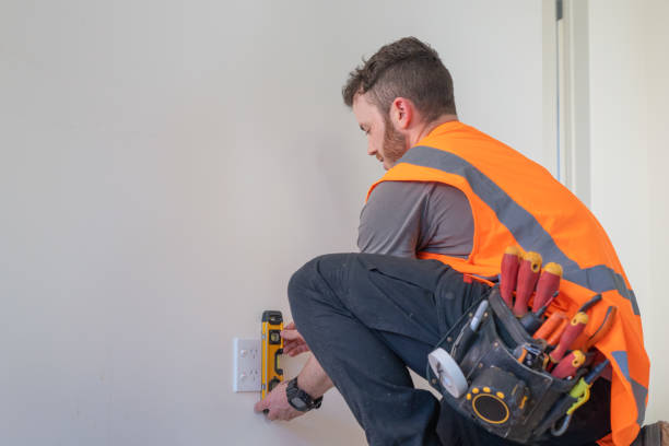 Best Ceiling Fan Installation Electrician  in Genoa City, WI